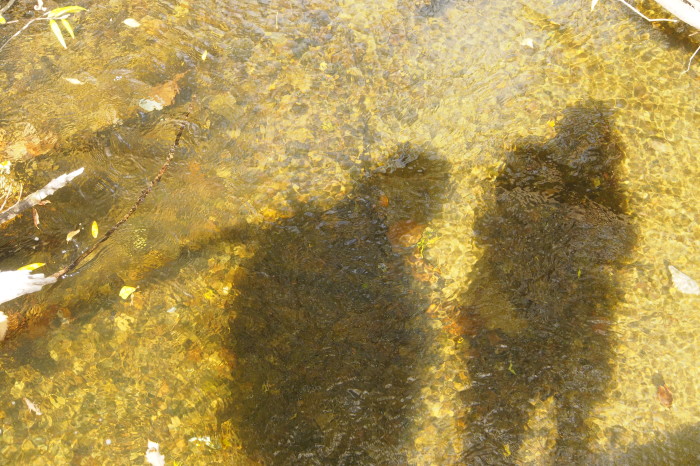 e0307372_21385533.jpg