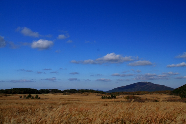 d0126577_2016545.jpg