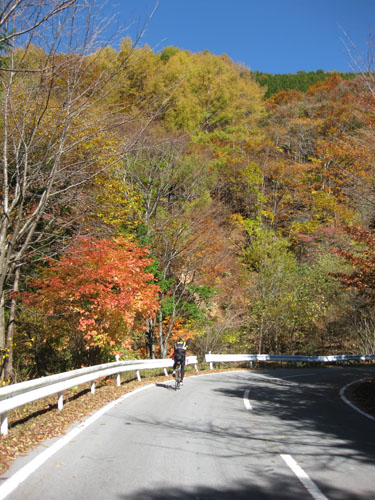 b0144082_1581390.jpg