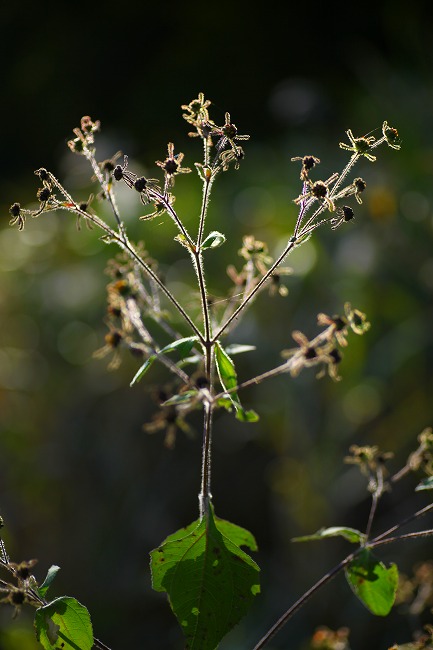 b0255992_2347369.jpg