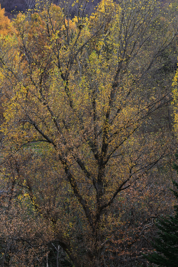 f0001895_17453789.jpg