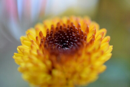 a0155999_9392940.jpg
