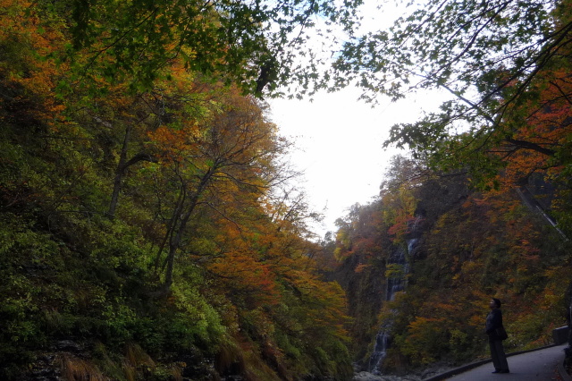 a0214206_01034777.jpg