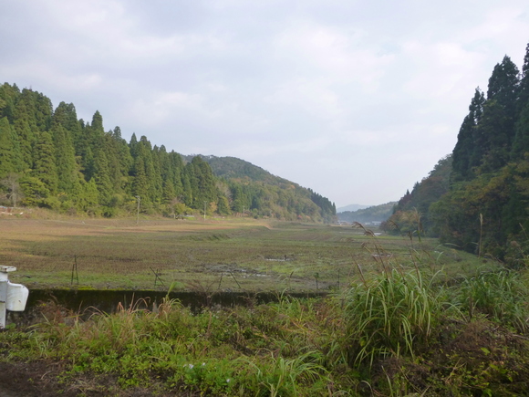 d0170615_20592850.jpg