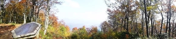 d0170615_210182.jpg