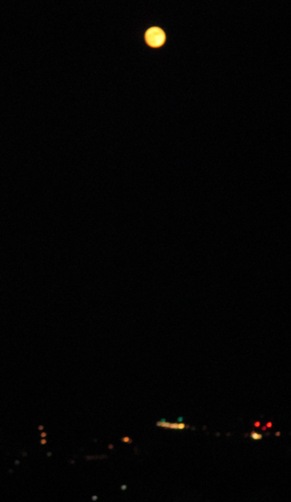 a0098027_2033740.jpg