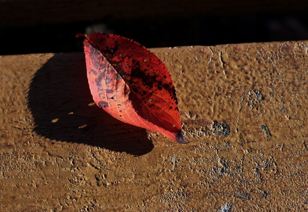c0309734_01583714.jpg