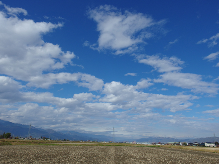 a0014840_0143921.jpg