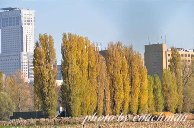 a0315942_22334506.jpg