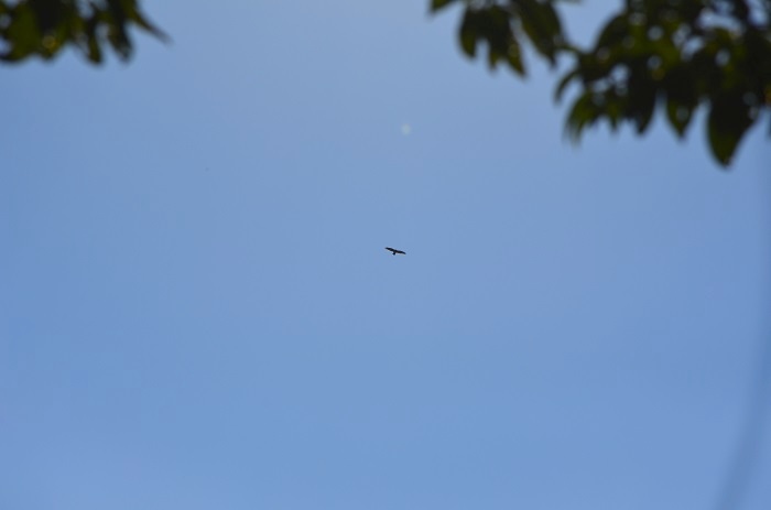 b0288942_18342946.jpg