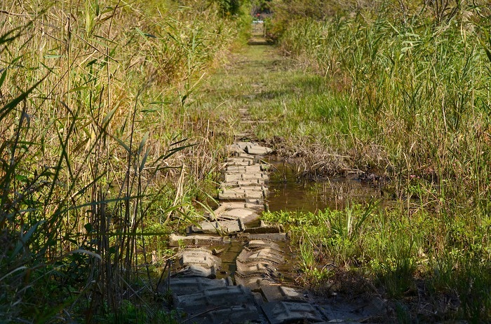 b0288942_18483747.jpg