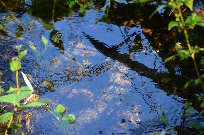b0288942_18593569.jpg