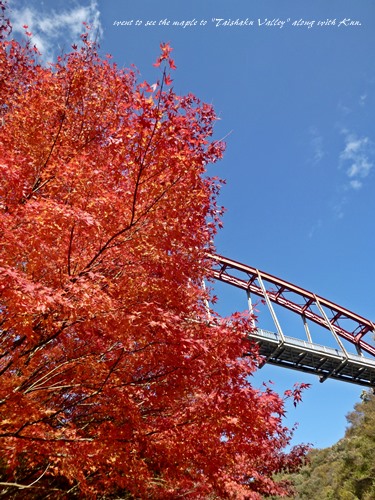 f0184055_11531453.jpg