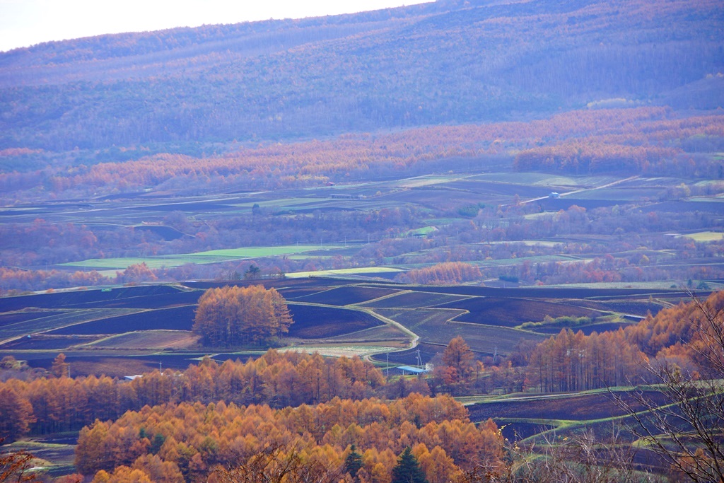 e0223456_844135.jpg