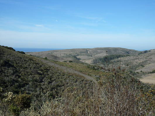 c0115366_23275312.jpg
