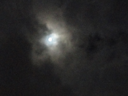 d0109373_0372929.jpg