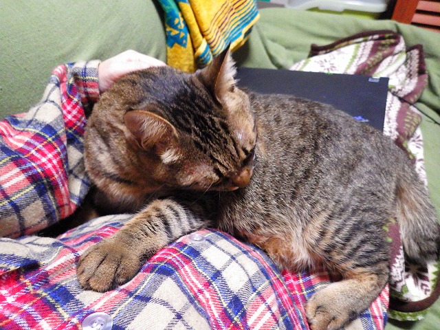 a0159490_10503980.jpg