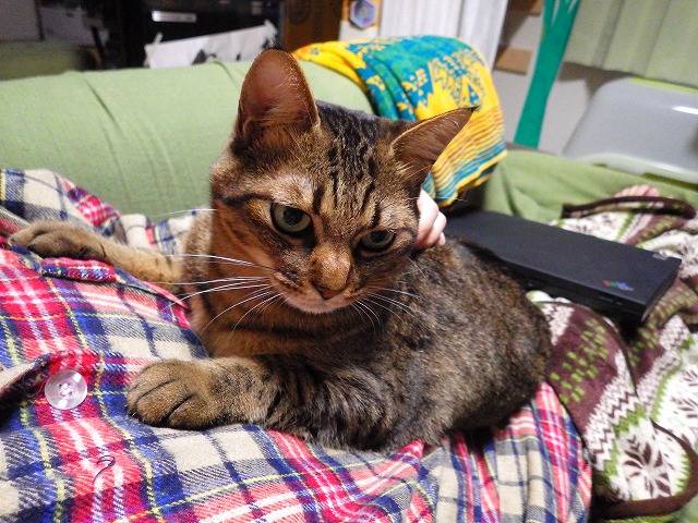 a0159490_10505043.jpg