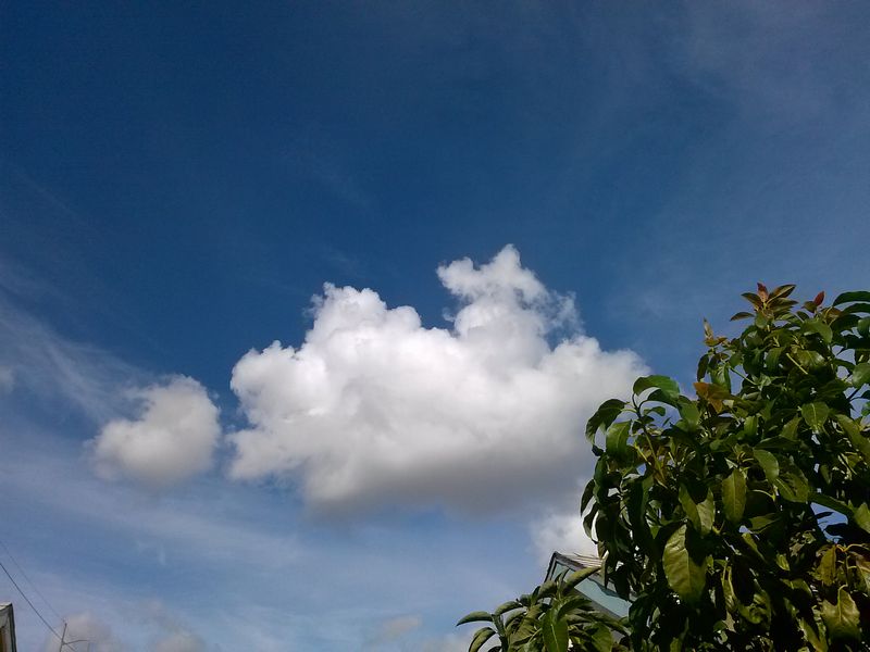 c0335691_15483745.jpg