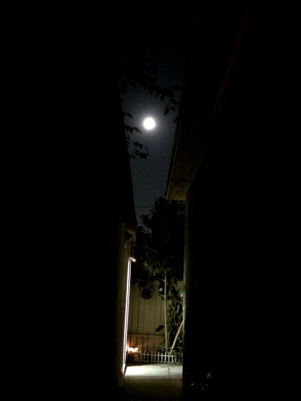 c0335691_1613566.jpg