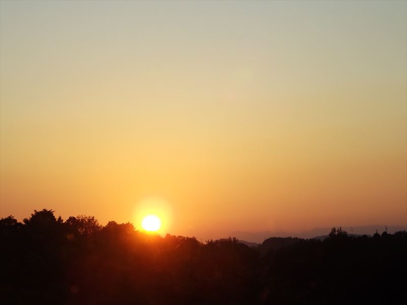 c0108198_1749378.jpg