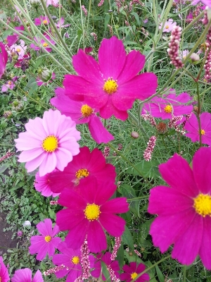 c0137300_20205873.jpg