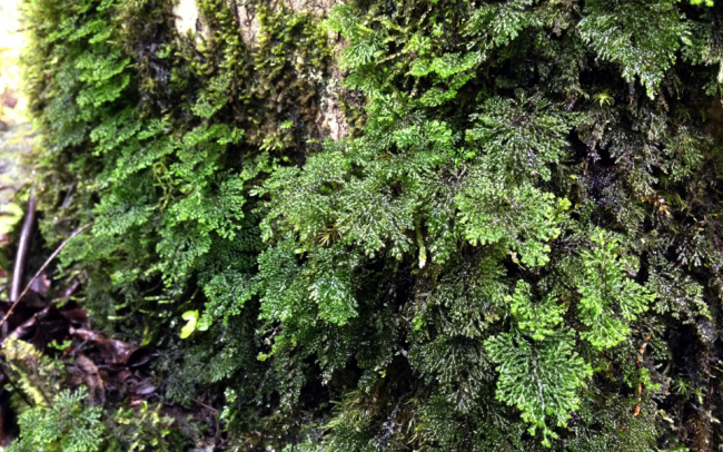 e0218504_10150012.jpg