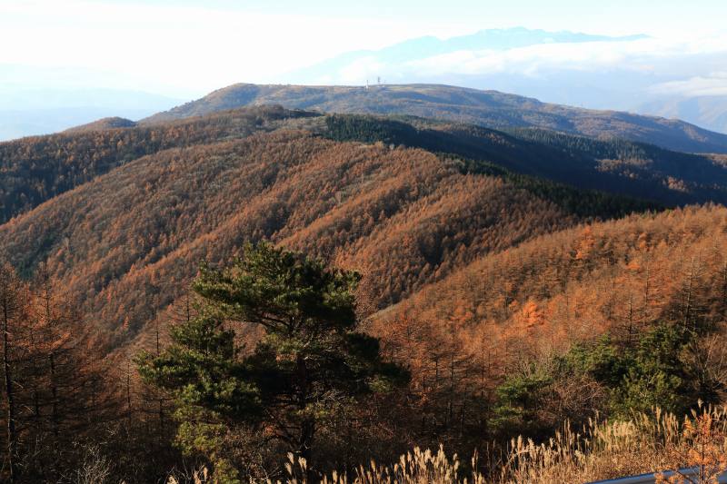 a0188405_08261448.jpg