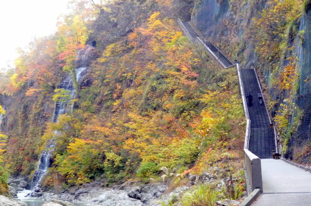 a0214206_20120623.jpg