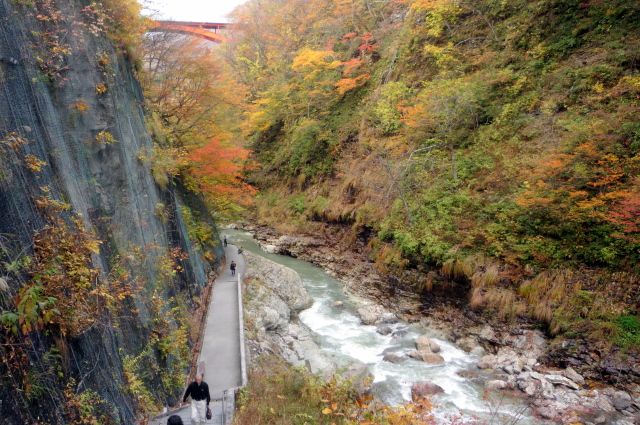 a0214206_20125103.jpg