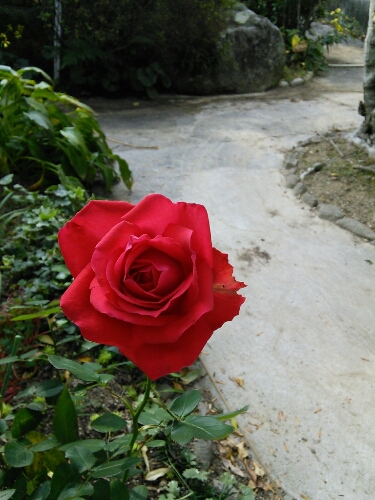 b0307008_1431657.jpg