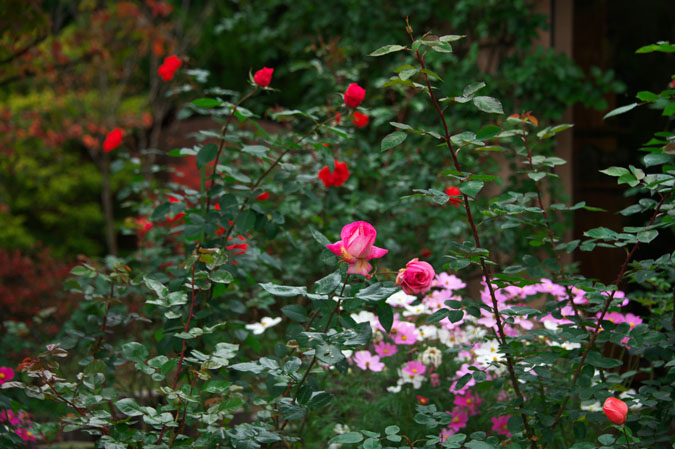 a0263109_9495676.jpg