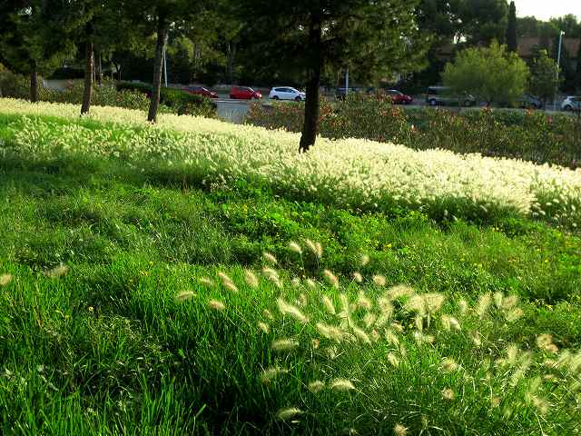 b0064411_06370431.jpg