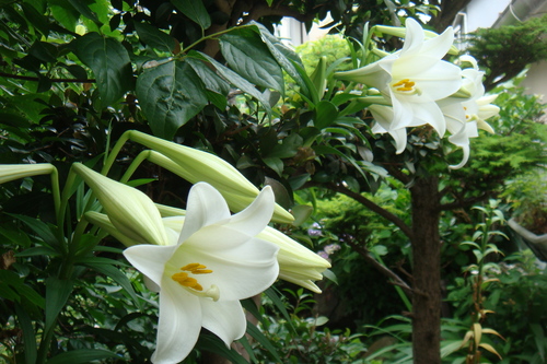 a0019212_1404499.jpg