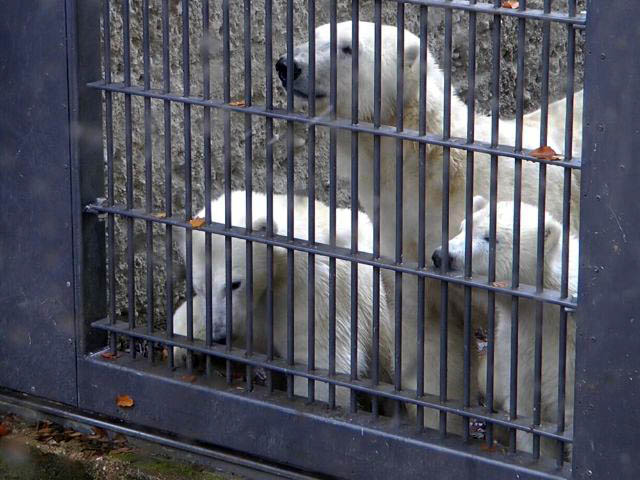 a0151913_027142.jpg
