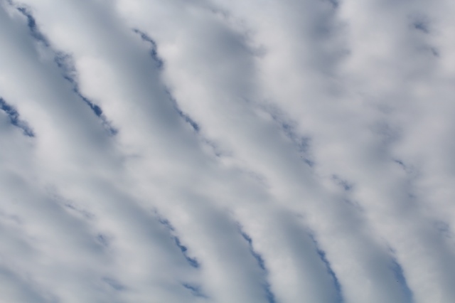 c0162817_1125674.jpg