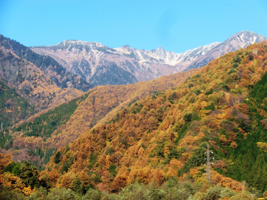 d0221319_11351396.jpg