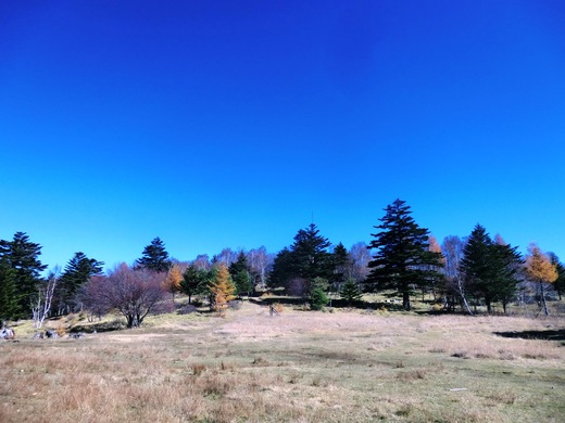 d0221319_1713337.jpg