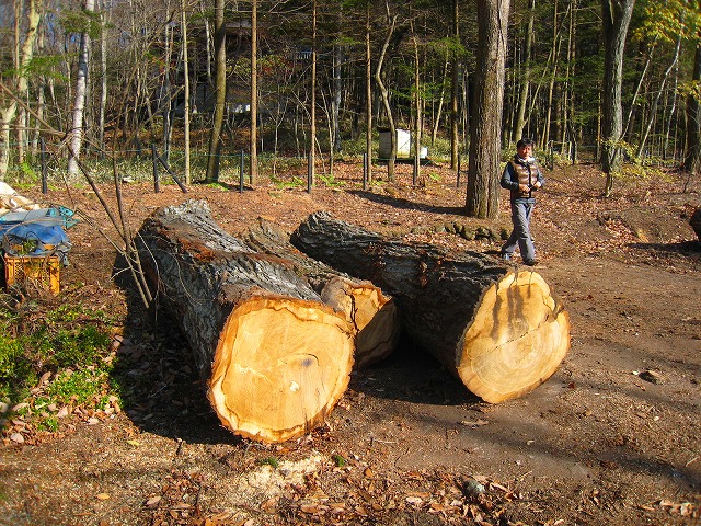 e0002820_20115892.jpg
