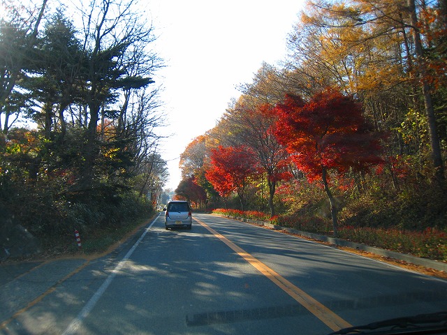 e0002820_20121165.jpg