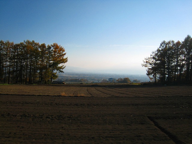 e0002820_20123139.jpg