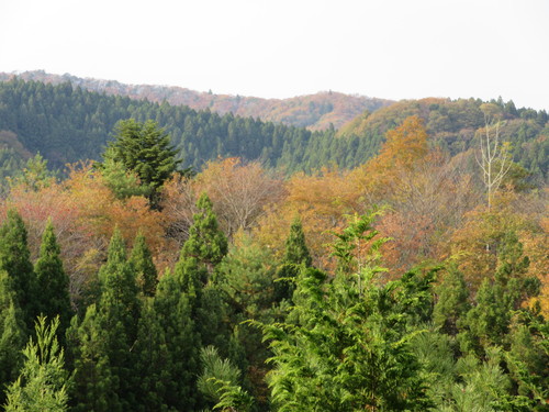 a0248728_2243385.jpg