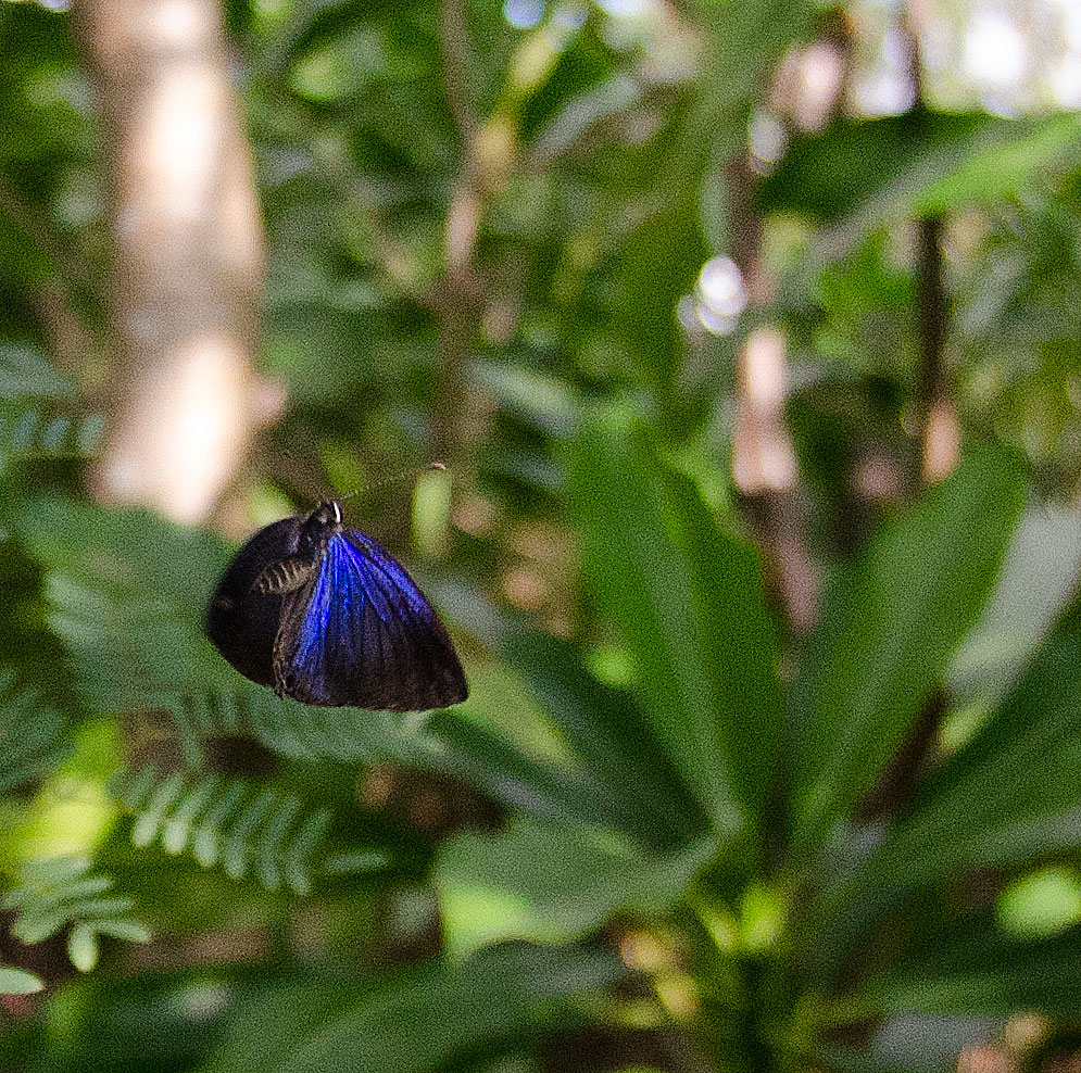 a0126632_14441865.jpg
