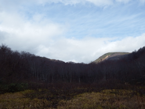 f0118332_23403365.jpg
