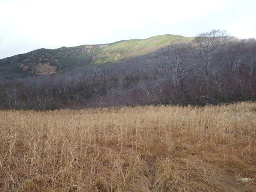f0118332_23471428.jpg