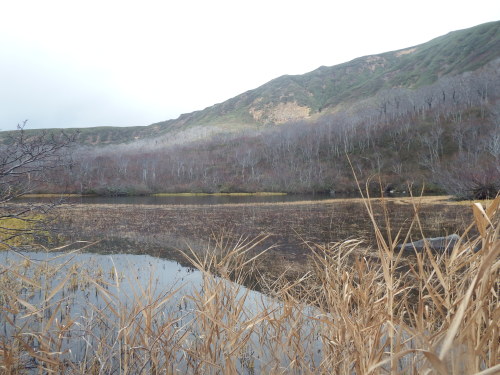 f0118332_23481349.jpg