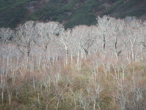 f0118332_23483974.jpg