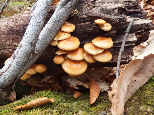 f0118332_23582990.jpg