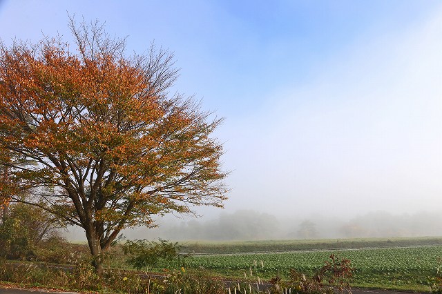 a0242438_18233655.jpg