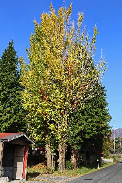 a0242438_18234129.jpg